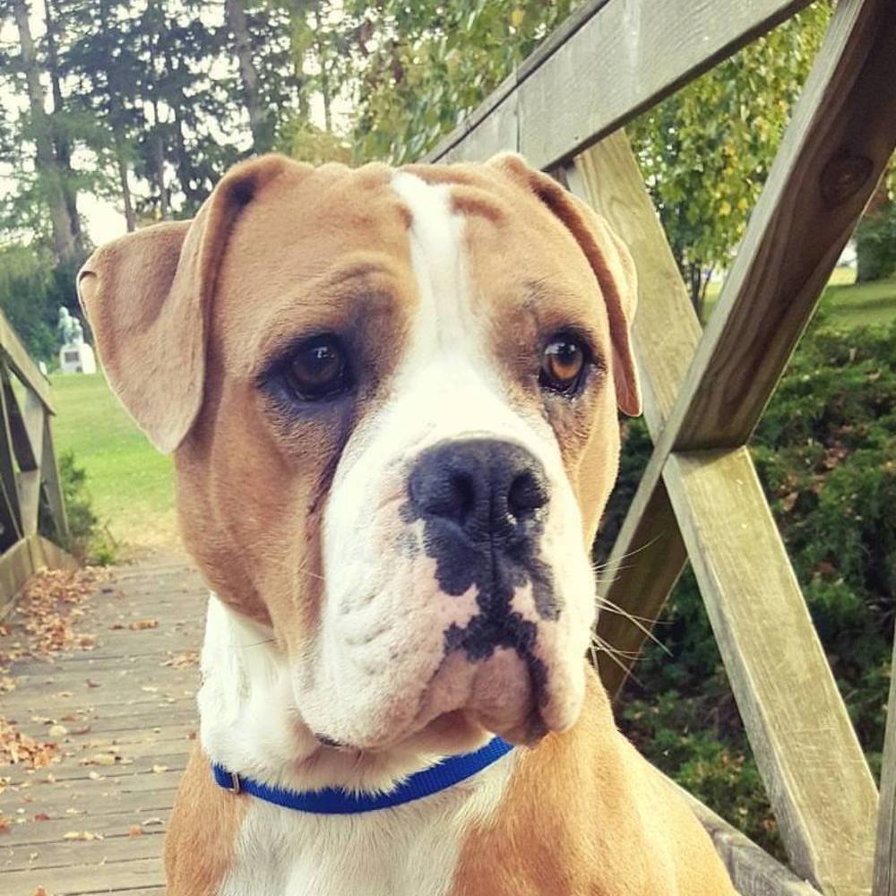 Meet your Posher, Chris